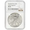 NGC Certified Silver Eagles